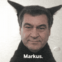Larry Csu GIF
