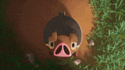 Happy Shock GIF by Pokémon