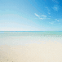 floridahardseltzer florida hard seltzer hardseltzer florida hard seltzer GIF