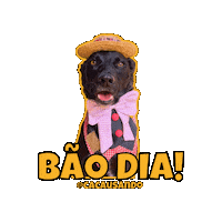 Dog Pet Sticker
