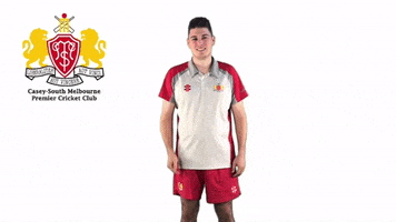 CaseySouthMelbourneCC swans csmcc caseysouthswans GIF