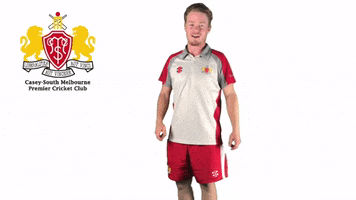 CaseySouthMelbourneCC swans csmcc caseysouthswans GIF