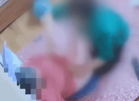 58d4b6a0e8004dd6a499524384e88c9f giphyupload GIF