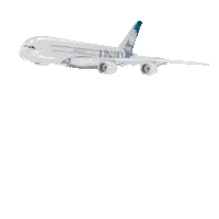 UNAQ fly airplane avion unaq Sticker