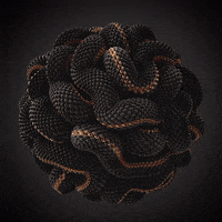 romanbratschi fun black abstract gold GIF