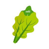 Fresco Sticker by Calii app