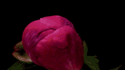 GIF by Nokia Bell Labs