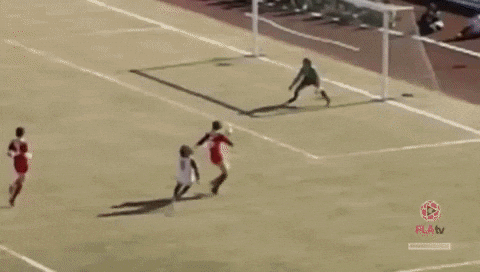 flamengo giphyupload st nrn nacaocrf GIF