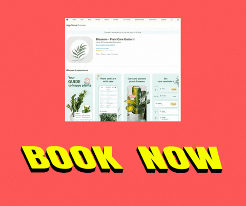 faruk88 giphyupload run usa free GIF