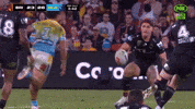 Brisbane Broncos GIF