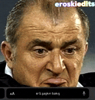 Fatih Terim GIF