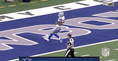 2018 Nfl Football GIF by NFL