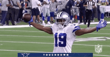 2018 Nfl Football GIF by NFL