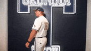 Georgia Tech Baseball GIF by Georgia Tech Yellow Jackets