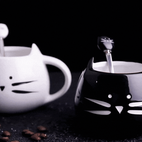 giphyupload cat mug cat mug with spoon cat mug gift GIF