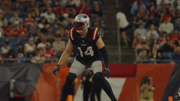 Got You Football GIF by New England Patriots