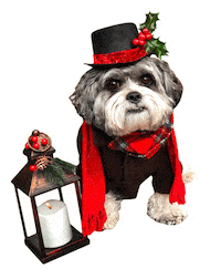 Merry Christmas Sticker