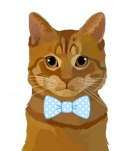 Cat Pet Sticker by Watertown Humane Society