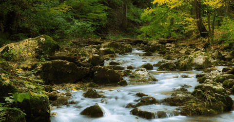 kirk-shaw giphygifmaker giphyattribution GIF