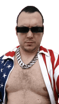 United States Usa Sticker by Database數據