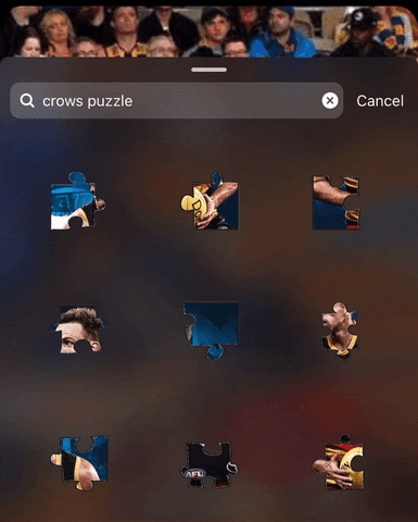 GIF by Adelaide Crows