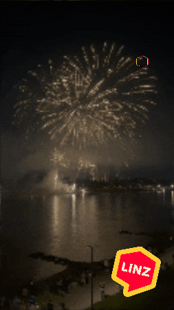 Austria Wow GIF by Linz News