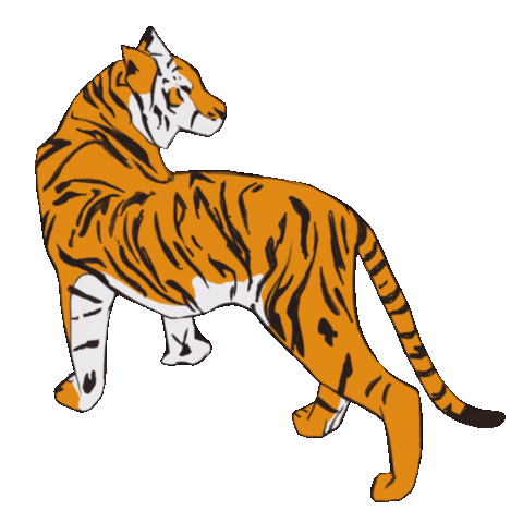 Year Of The Tiger Art Sticker