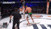 bellator 174 knee GIF by Bellator