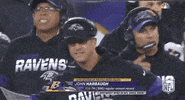 Regular Season Football GIF by NFL