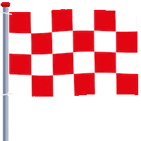 Racing Flag Sticker