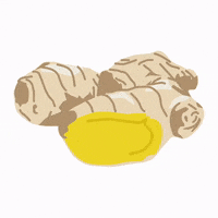 FraeuleinScholz shot ginger ingwer limette GIF