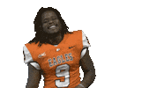 Cnfb Sticker by Carson-Newman Athletics