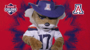 College Sports Fancy GIF by College Colors Day