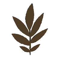 d_vigl plant leaf brown beige Sticker