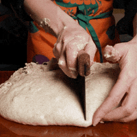 sourdoughdisco disco sourdough GIF