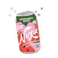 drinknixie sparkling water nixie watermelon mint nixie water Sticker