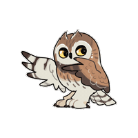 Short-Eared Owl Sticker