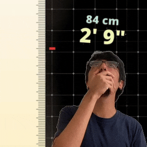 2' 9"