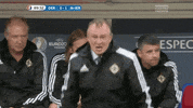euro 2016 GIF by Sporza