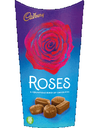 Dairy Milk Chocolate Sticker by Cadbury World