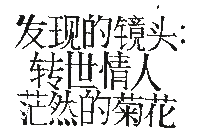 Glitch Text Sticker by Ninja Tune