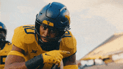West Virginia Sport GIF by WVU Sports