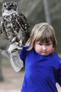 GIF by Giphy QA
