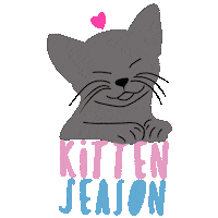 Kitten Season Sticker by HeARTs Speak