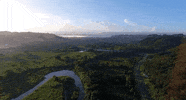 Puerto Rico Caribbean GIF