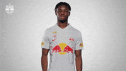 Football No GIF by FC Red Bull Salzburg