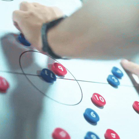 Football Soccer GIF by Widzew Łódź