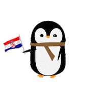 Croatia Navijanje Sticker by Dječja TV