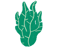 c&a summer Sticker by Henri Campeã
