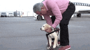 Dog Puppy GIF by Atlanta United